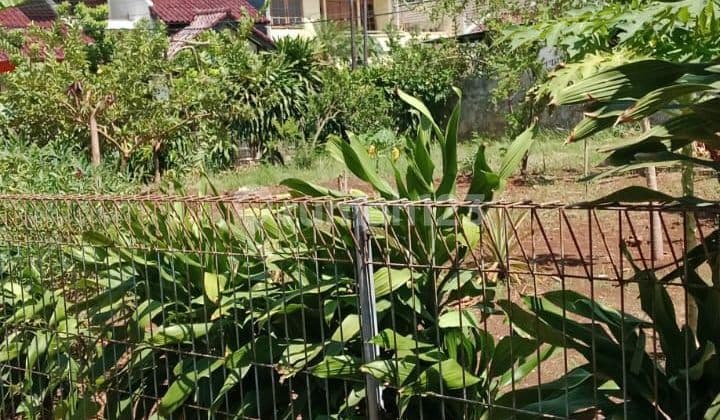 Tanah Murah SHM Dikomplek Palem Asri Pondok Kelapa Jakarta Timur