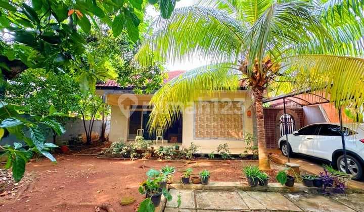 Tanah Murah Lokasi Strategis Di Kayu Putih Jakarta Timur