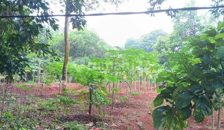 Dijual tanah siap bangun di Setu Bekasi dekat tol Setu