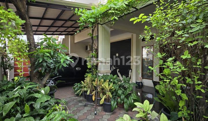 Rumah Murah Siap Huni Di Kavling Dki Pondok Kelapa Duren Sawit