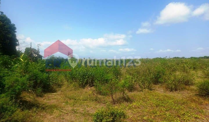 Land in Kencong, Jember, Certificate of Title 7,221 m²