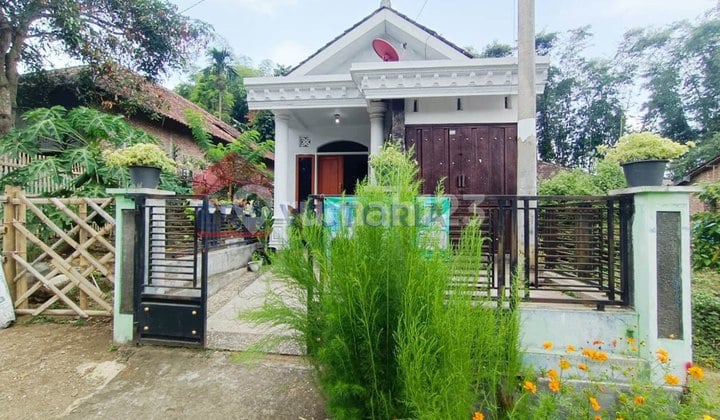 Dijual Rumah 1 Lantai Dalam Kondisi Bagus Dan Terawat, Terletak di Daerah Tumpang Dan Memiliki Akses Cepat Ke Arah Pakis. Sangat Cocok Untuk Home Stay