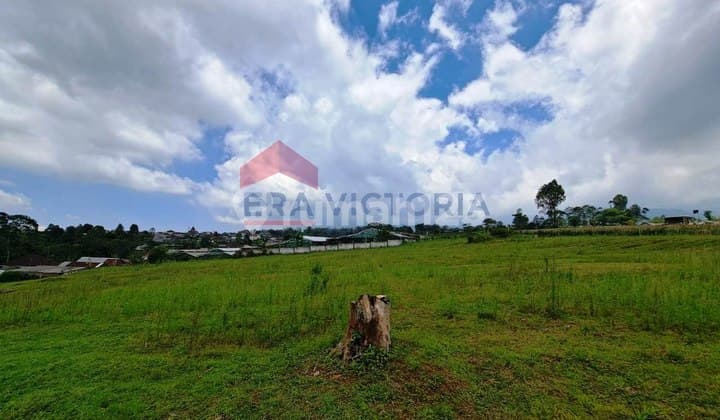 Tanah Luas 7 Hektar di Nongkojajar Pasuruan- Dekat Bromo & Cocok untuk Agrowisata & Perkebunan