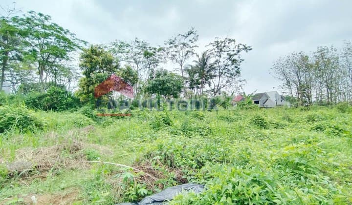 Tanah Kavling Merjosari Malang - Dekat Kampus & Potensi Rukos Tinggi