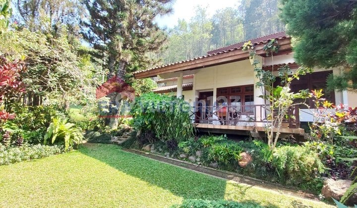 Dijual Villa Besar, Terawat Dan Luas di Daerah Batu Dengan Suasana Nyaman Dan Pemandangan Pegunungan, Dekat Dengan Jatim Park 1