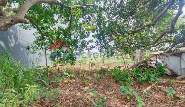 Tanah Dijual Ngaglik Batu Dekat Jatim Park & Museum Angkut Cocok Villa