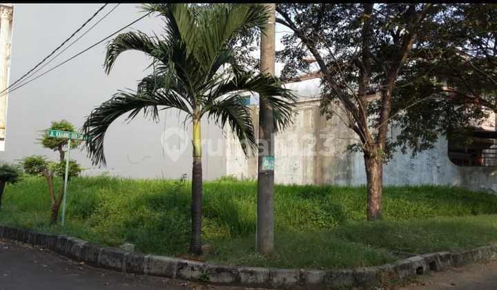 Tanah Hook Bebas Banjir Di Ancol Barat Jakarta Utara