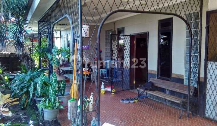 House Width 10 Suitable for Business in Cisauk