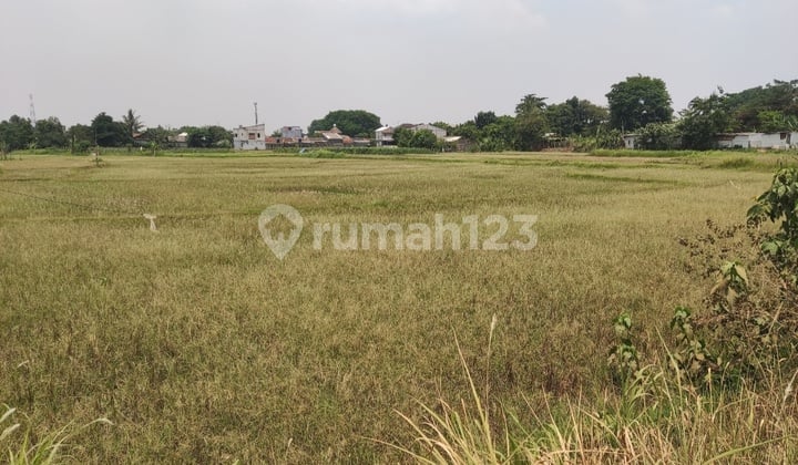 Tanah Kosong Dekat Toll Di Cibarusah Cikarang Bekasi