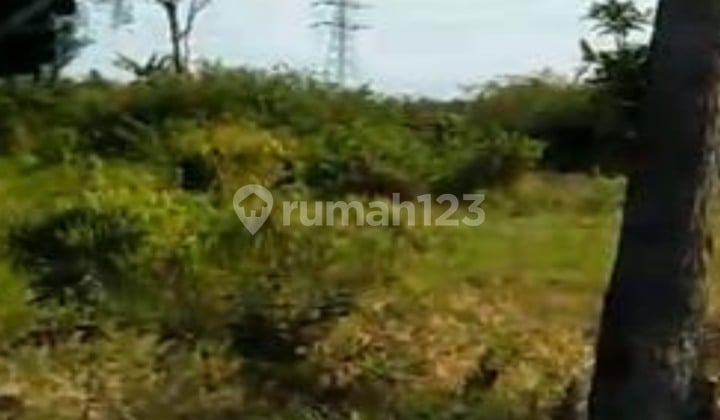 Tanah Wonorejo Pasuruan