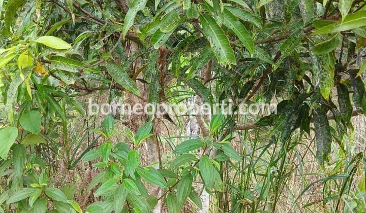 Flat Land on the Side of a Major Road Near the National Capital