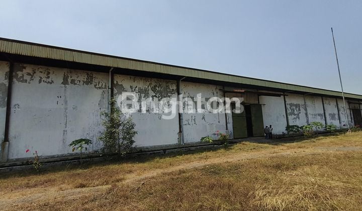 Warehouse in Trowulan, Mojokerto: