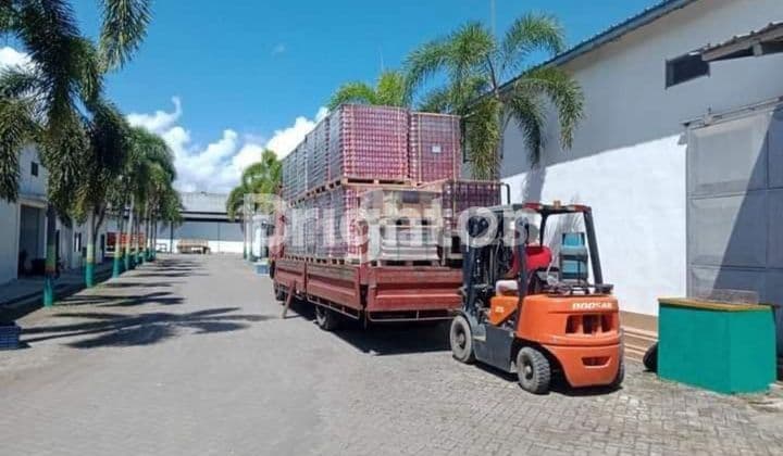 DIJUAL Pabrik Sarden Aktif Banyuwangi