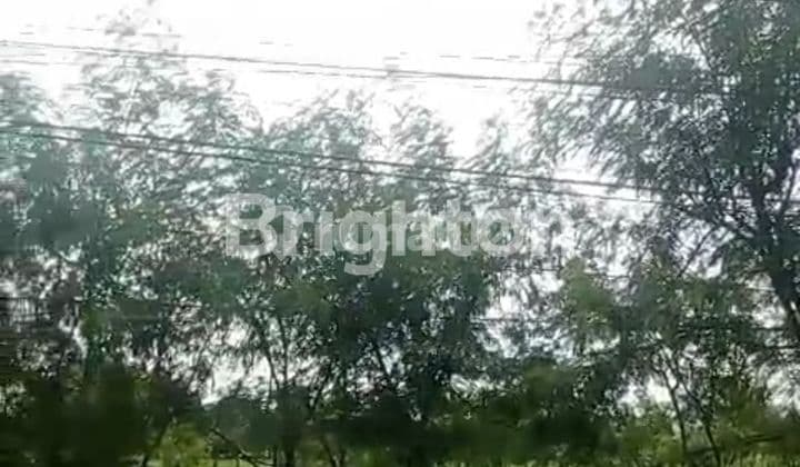 Dijual Lahan Industri Ploso, Jombang