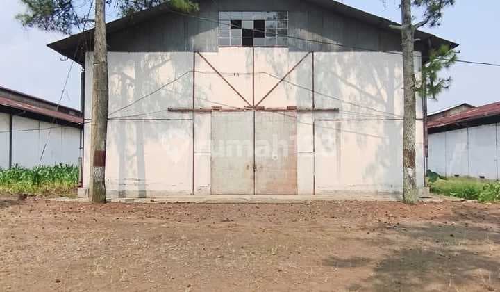 Disewakan Gudang Pagas, Singosari, Malang