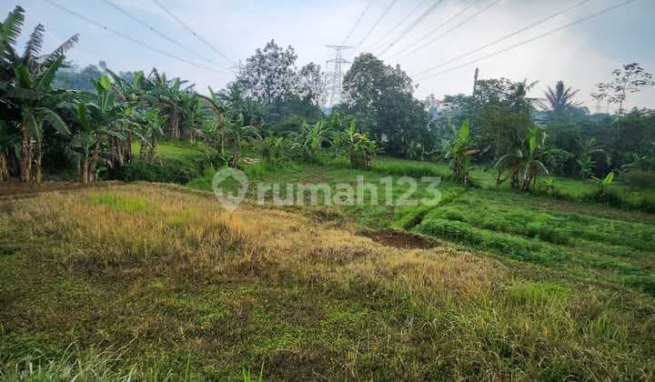 Prime 2.8 Hectare Freehold Land with SHM Title, Cinere, Depok