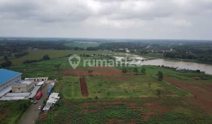 Land for Sale for Warehouse or Factory on Jl Raya Purwodadi