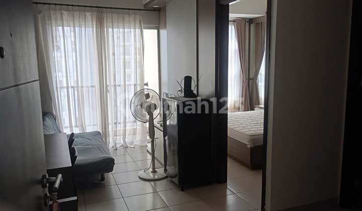 Disewakan Apartemen Rapih Full Furnished di Saveria BSD
