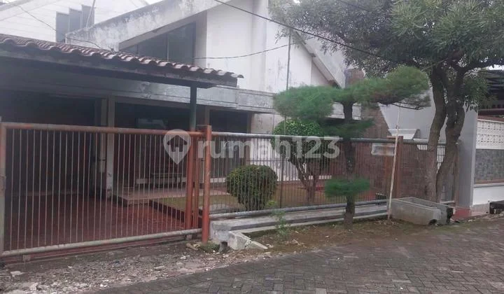 Rumah Bagus SHM di Manyar Kertoadi Siap Huni Rumah Bagus SHM di Manyar Kertoadi Siap Huni