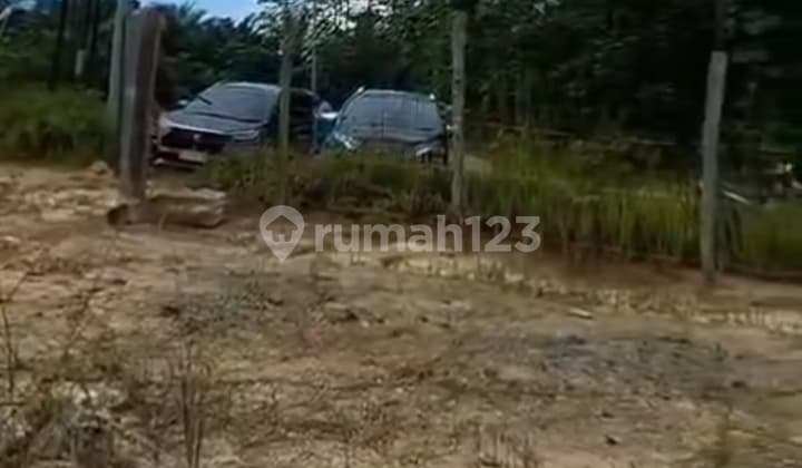 Kavling Premium Siap Bangun Di Ikn Berasa Di Jalan Poros Semoi 2 Menuju Istana.