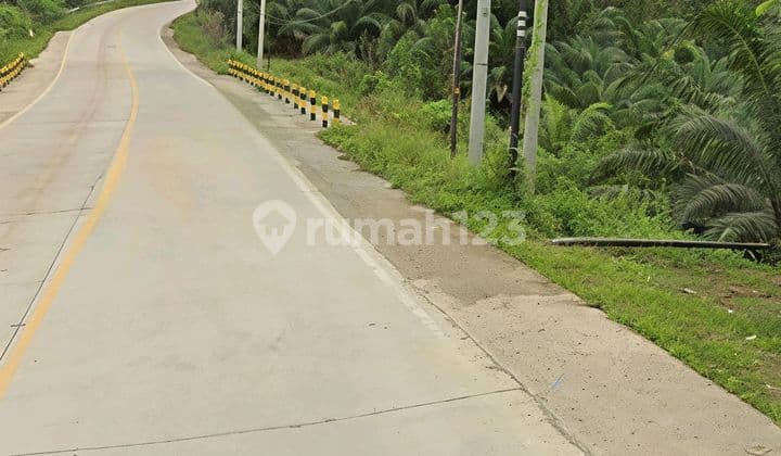 Di Jual Tanah di Ikn Dekat Simpang Riko dan Itci