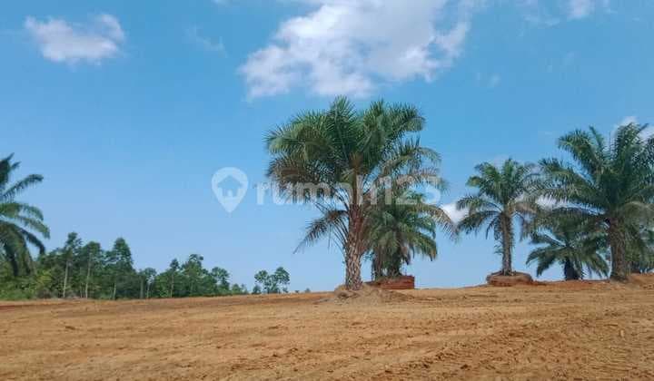 Promo Kavling Kost di Penajam Dekat Kampus Gunadarma