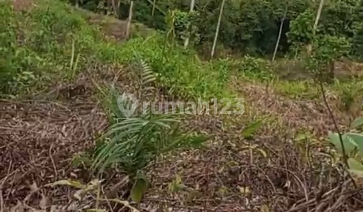 Di Jual Tanah Di Penajam Dekat Ikn