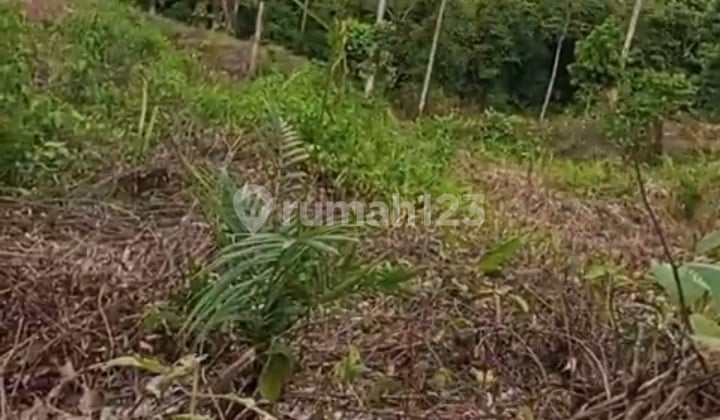 Di Jual Tanah Di Penajam Dekat Ikn