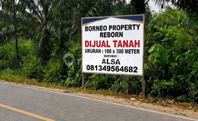 Di Jual Tanah di Ikn Berada di Jalan Negara