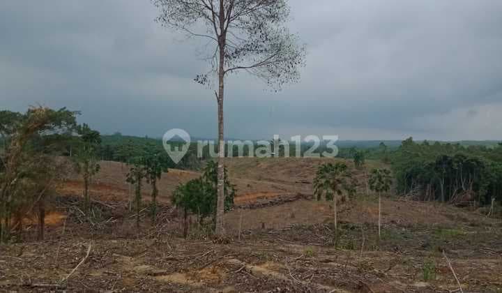 Dijual Tanah Kavling Di Girimukti Penajam Dekat Ikn