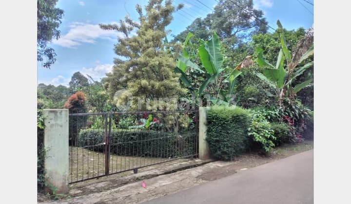 Tanah Perkebunan Buah LT 8724m² Bogor, Sudah Menghasilkan. SHM