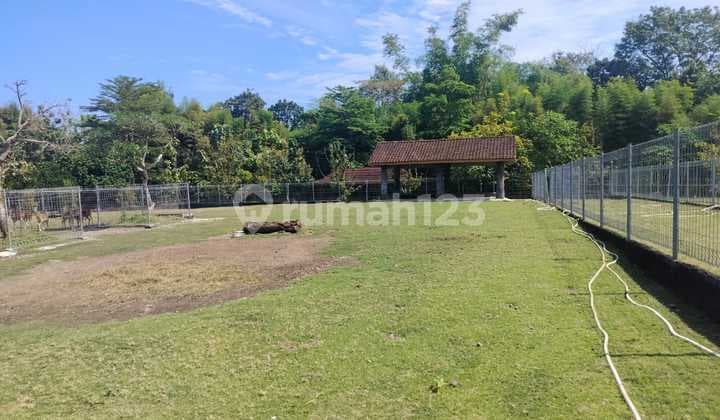 Tanah Luas, SHM Pekarangan, Dekat Stadion Maguwoharjo