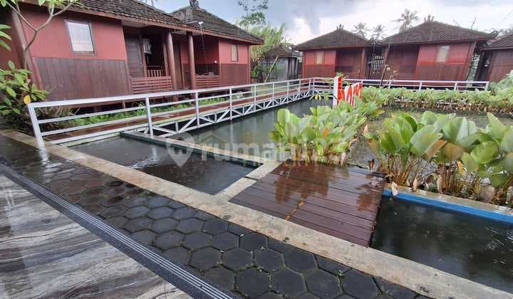 Villa Mewah View Cantik di Kaliurang Jogja