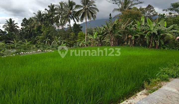 Tanah Pemandangan Gunung Asri di Pulosari, Pandeglang, Banten