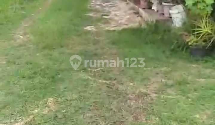 Tanah Murah Shm 500 M2 Dalam Komplek Cocok Untuk Apapun