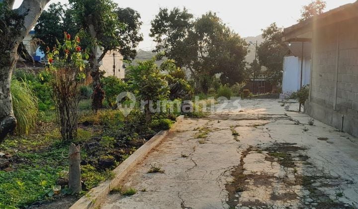 For sale, fertile land suitable for all types of crops, located far from the main road in Pagerwojo, Tulungagung, East Java.