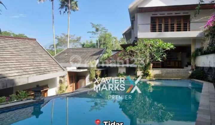 Rumah Mewah Konsep Resort + Private Pool dan Rooftop Full Furnished di Tidar, Malang