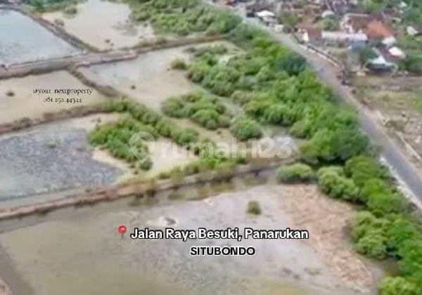 Lahan Plus Tambak di Jalan Raya Besuki, Panarukan Situbondo