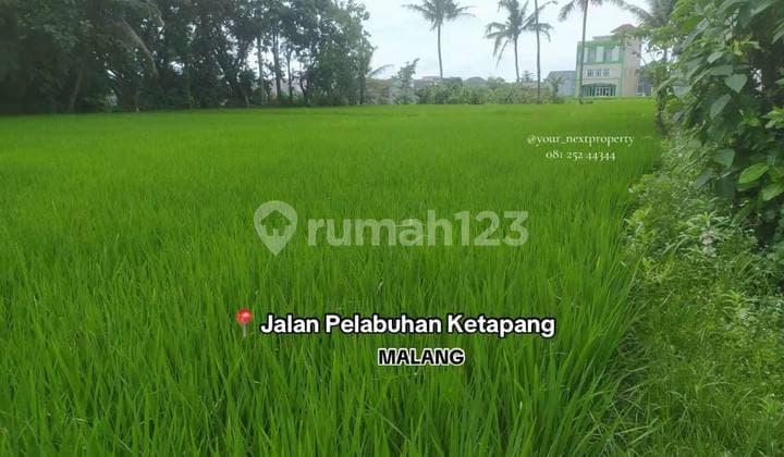 Tanah di Jalan Pelabuhan Ketapang Bakalankrajan Sukun Malang