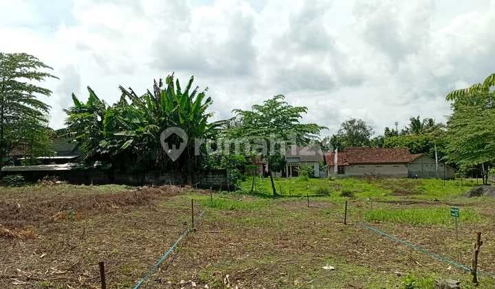 Solusi Rumah untuk Mahasiswa! Rumah Sleman Ini Harga Nego