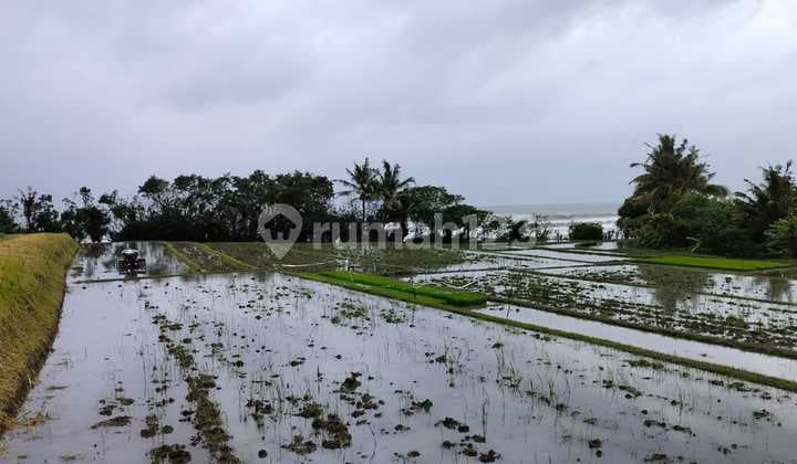 Pasti Closing Di Jual Tanah Loss Pantai View Laut Lokasi Pasut Tibu Biu Kerambitan Tabanan