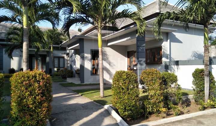 Hot List Di Jual Villa Complex Loss Pantai View Laut Lokasi Perancak Negara Jembrana