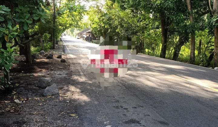 Hot List for Sale of Land Loss Beach View Sea Location Tejakula Buleleng