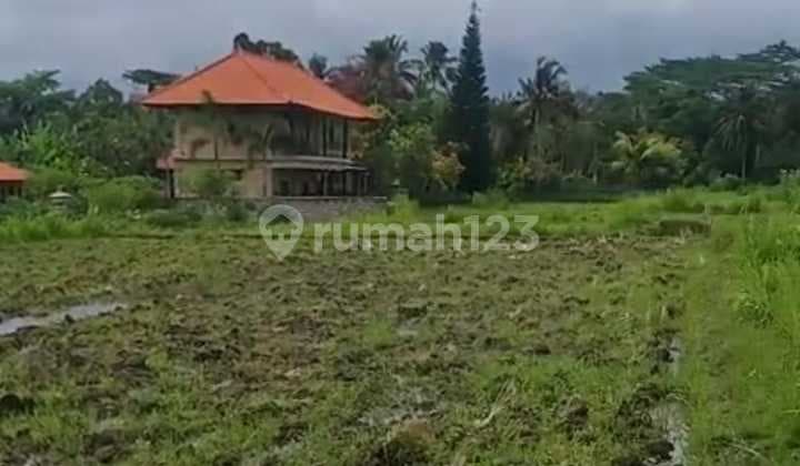 Hot List of land for sale in Pejeng Ubud Gianyar