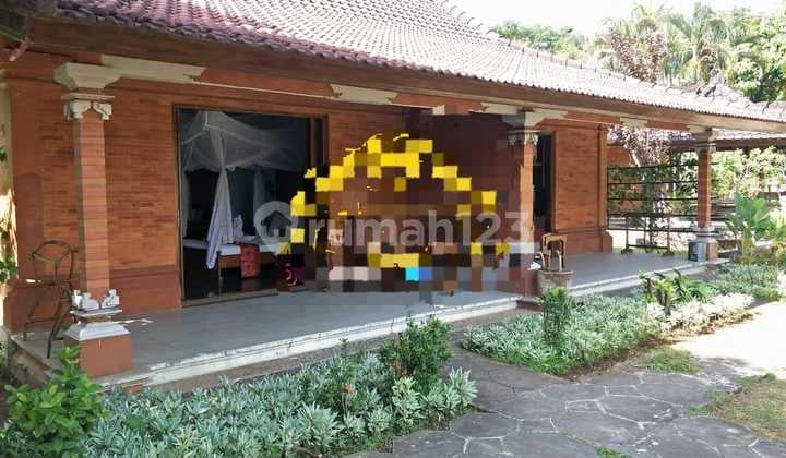 Hot List of Villas for Sale in Lovina Buleleng Location