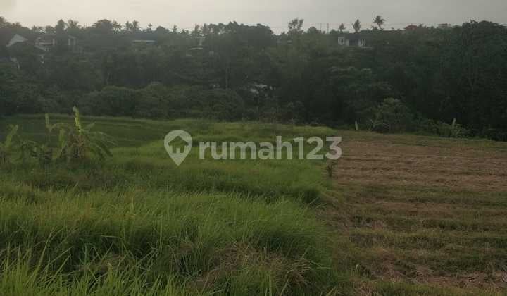 Hot List of Land for Sale Loss Sungai View Sungai Sawah Location Buwit Beraban Kediri Tabanan