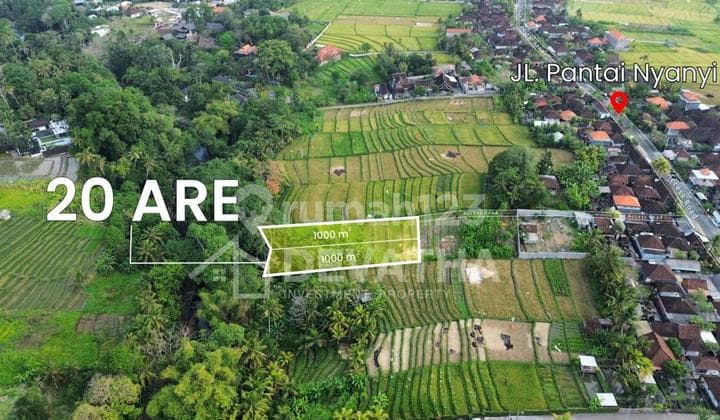 Hot List Termurah Di Kelasnya Di Jual Tanah View Sawah Lokasi Nyanyi Beraban Kediri Tabanan