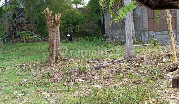 Hot List Di Jual Tanah Lokasi Semer Kerobokan Kuta Utara