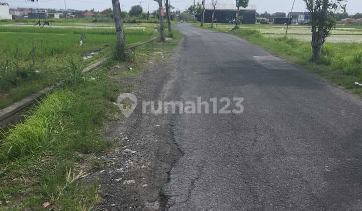 Hot List Di Jual Tanah Kavling Lokasi Pantai Lima Pererenan Mengwi Badung