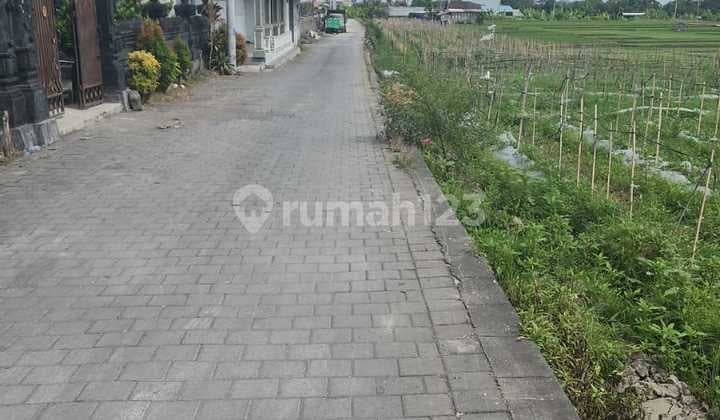 Hot List Di Jual Tanah Kavling Lokasi Pantai Lima Pererenan Mengwi Badung